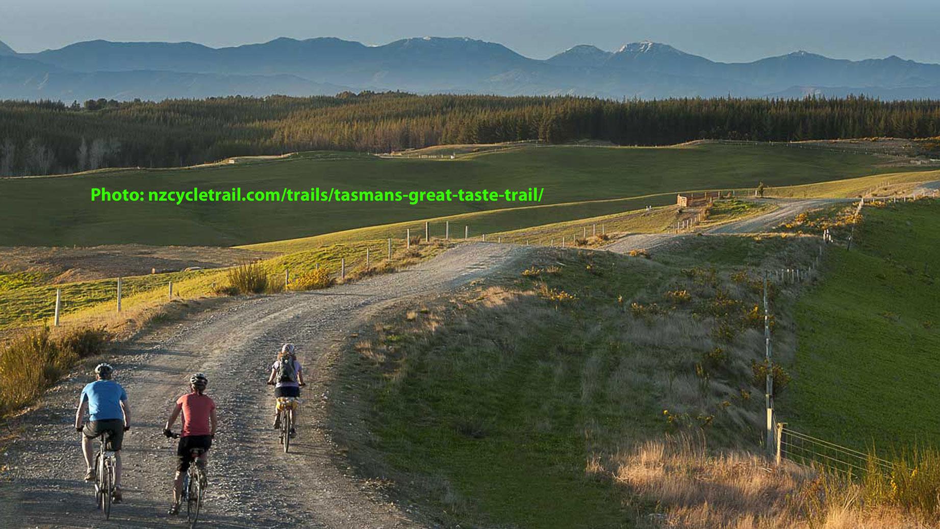 Three cyclists ride along a gravel path with rolling green hills and a backdrop of mountains under a clear sky. The scene captures a peaceful outdoor environment, perfect for cycling enthusiasts. Great Taste Trail mountain bike trail.