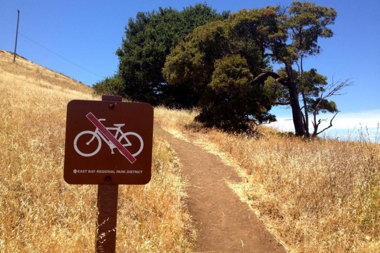 A dirt path winding through dry grass leads to a tree, with a brown sign in the foreground indicating "No Bicycles" surrounded by a grassy landscape under a clear blue sky. The sign is from the East Bay Regional Park District.