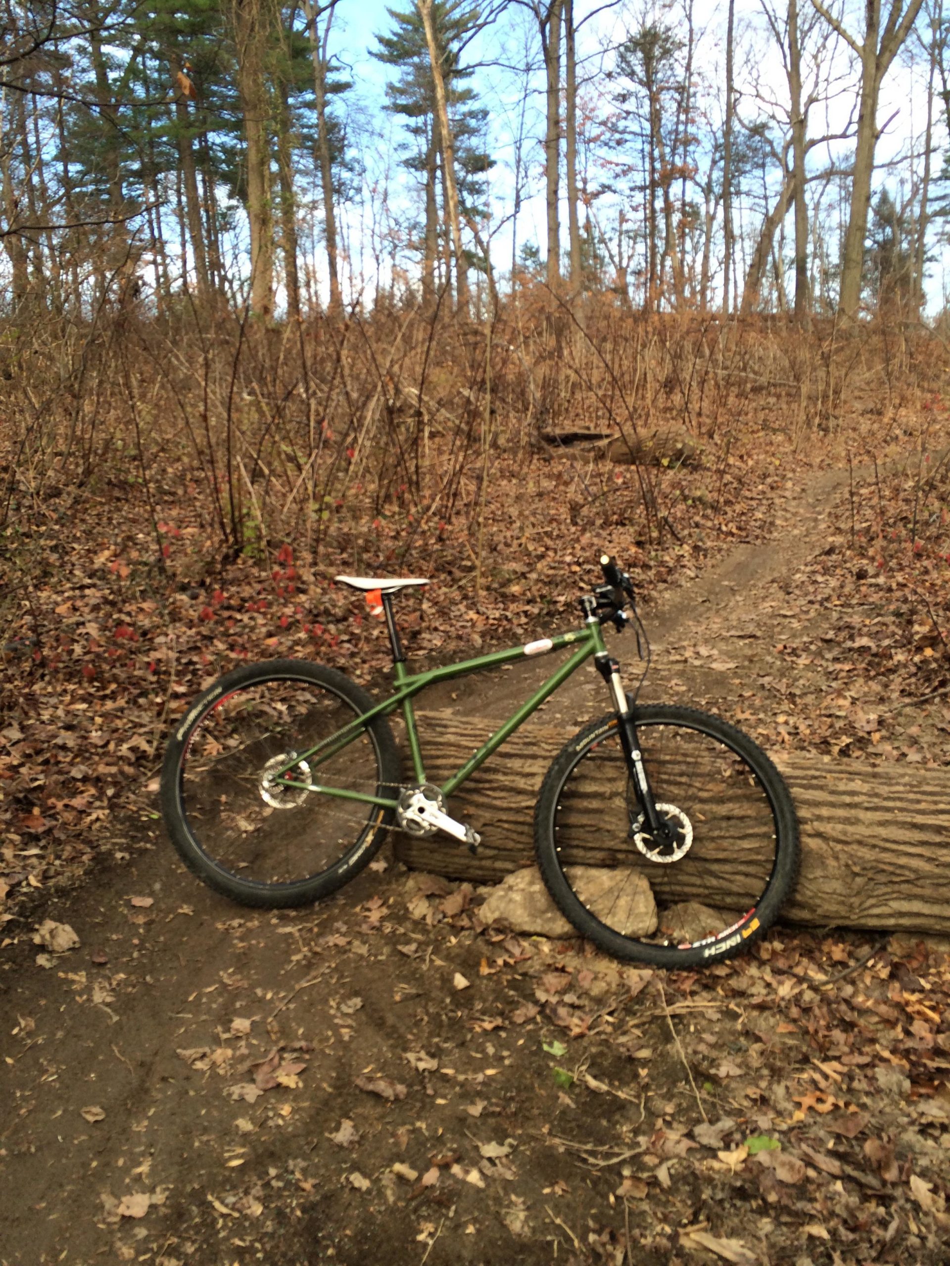 A mountain bike resting on a fallen log in a wooded area with dry leaves scattered on the ground. The background features trees with sparse foliage, indicating an autumn setting. Wissahickon Valley Park mountain bike trail.