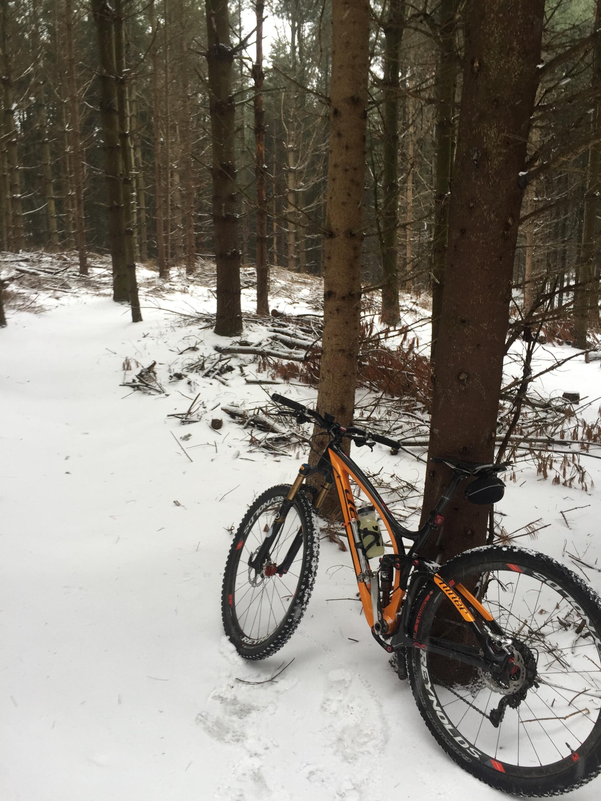 Niner Jet 9 RDO: A mountain bike leaning against a tree in a snowy forest setting, surrounded by tall pine trees. The ground is covered in a layer of snow, with some fallen branches in the foreground.