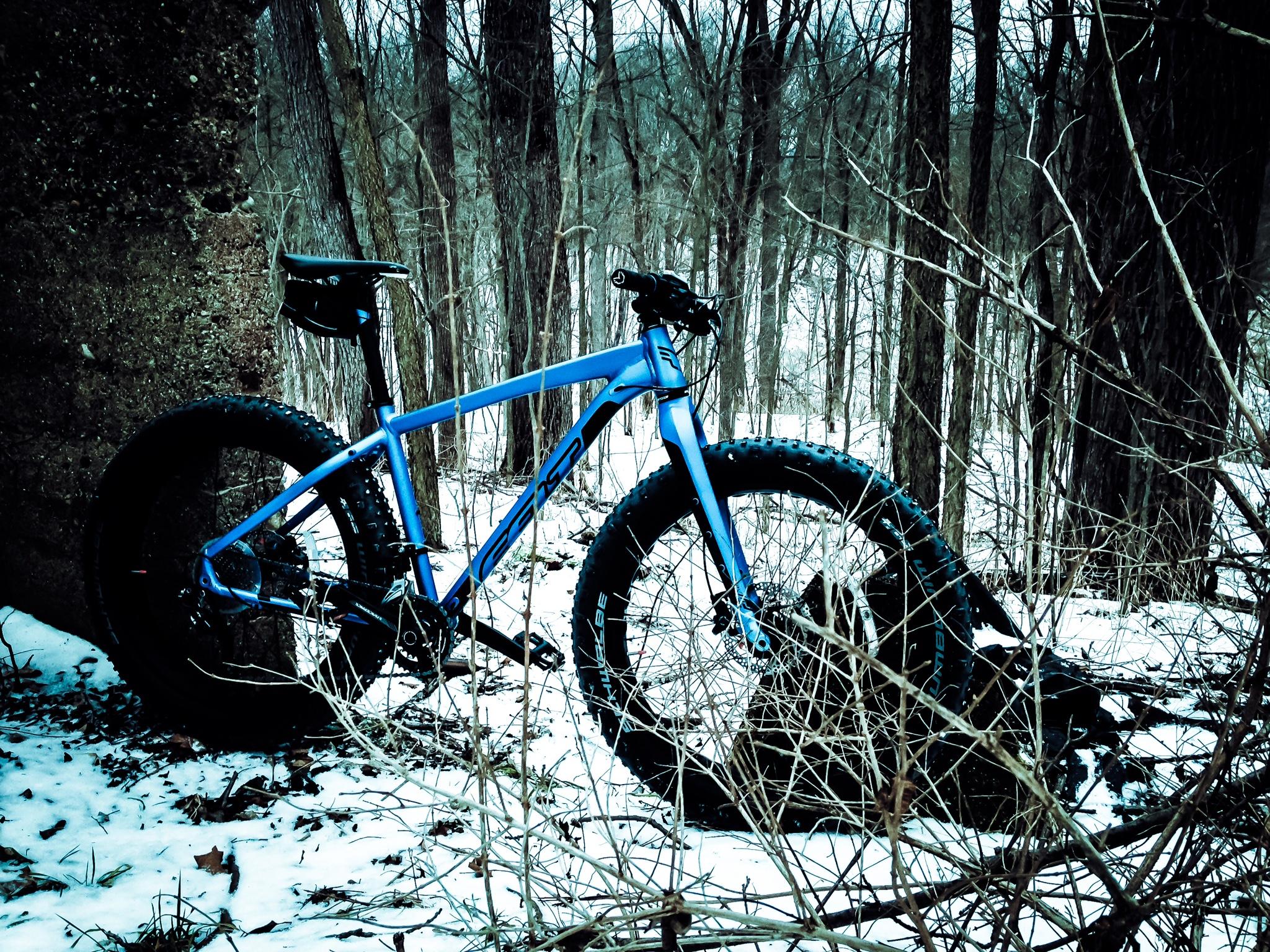 Felt Felt DD30: A blue fat bike leaning against a concrete wall, surrounded by snow and sparse vegetation in a wooded area. The scene is set in a chilly environment with bare trees in the background.
