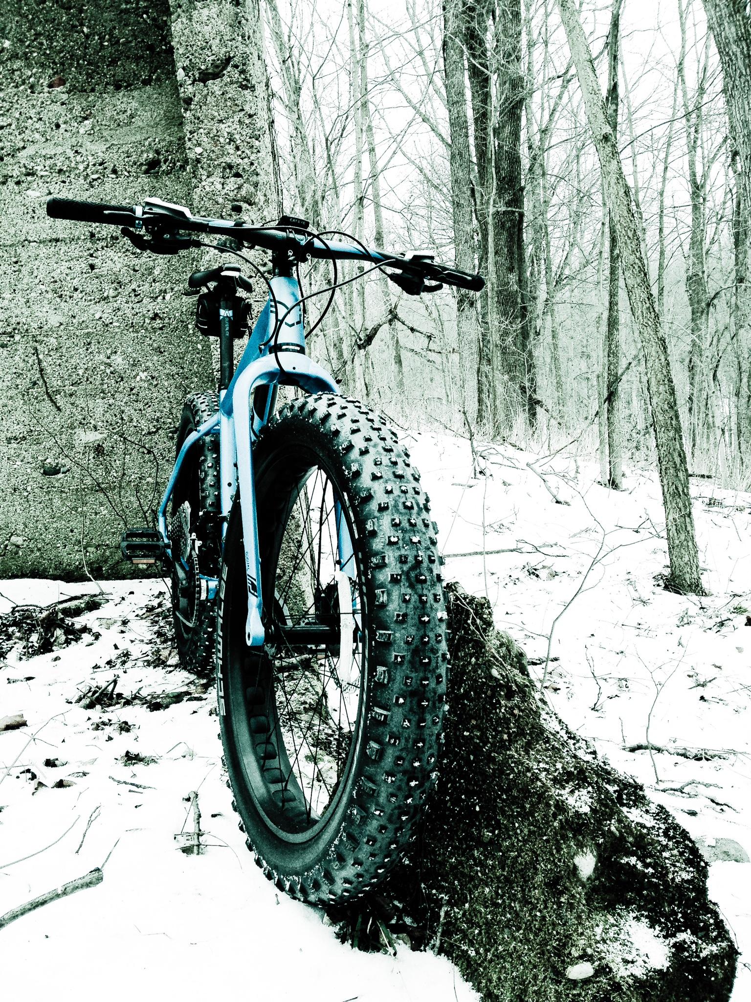 Felt Felt DD30: A blue fat bike leaning against a concrete structure in a snowy forest. The bike's large, studded tire is prominently featured, surrounded by a winter landscape of bare trees and snow-covered ground.