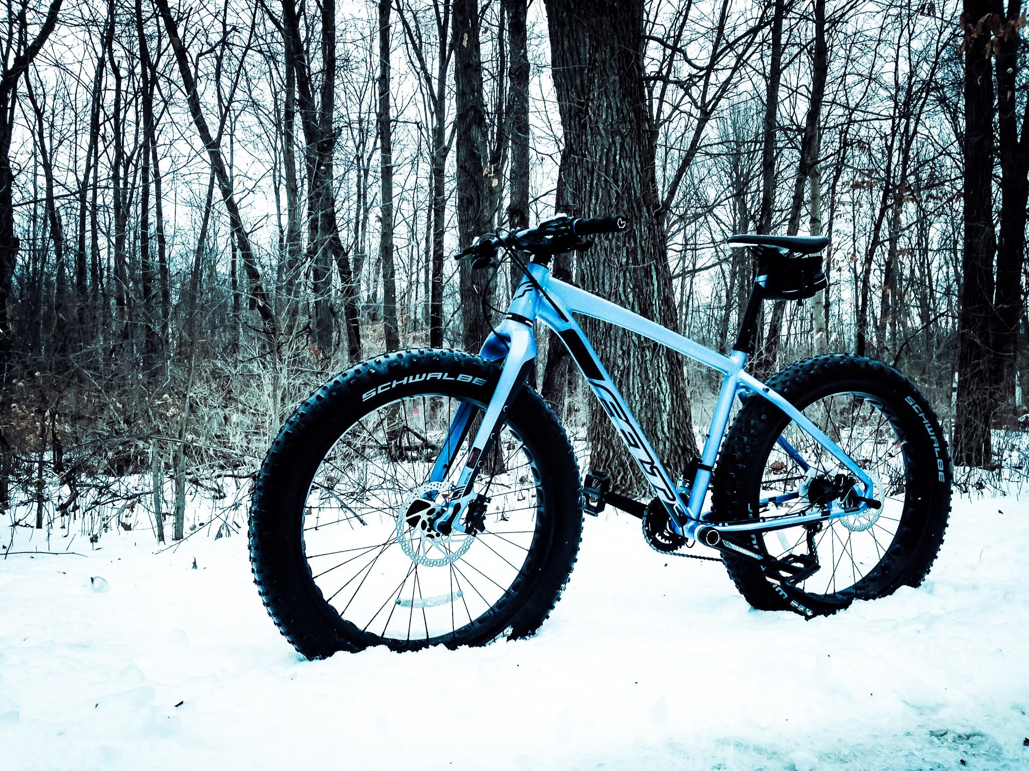 Felt Felt DD30: A blue fat bike with wide tires stands on a snowy path surrounded by bare trees in a winter landscape. The scene captures the bike against a backdrop of a cool, cold blue atmosphere.