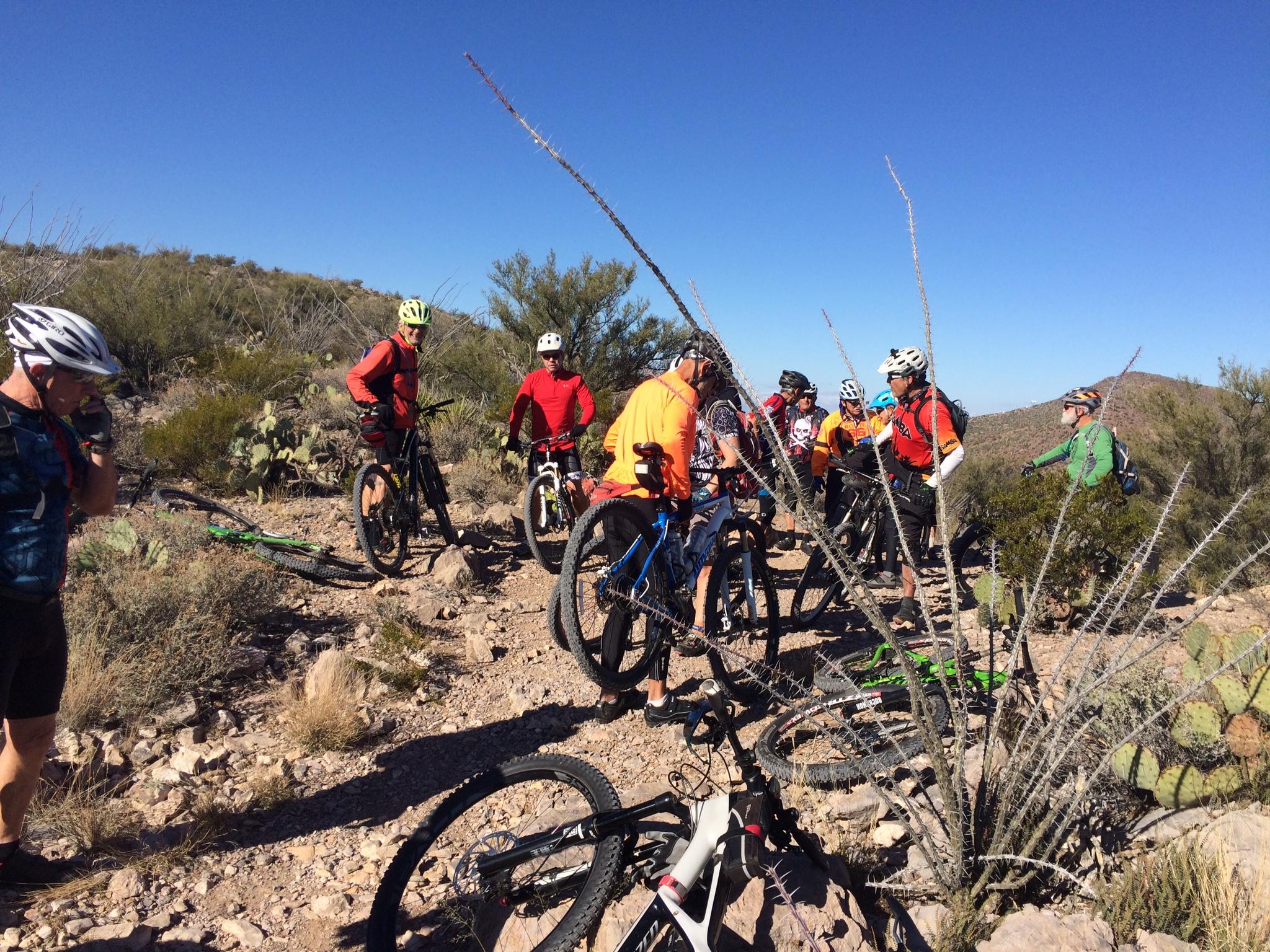 A group of mountain bikers in colorful jerseys gathers on a rocky trail in a desert setting, surrounded by cacti and shrubs. Some riders are adjusting their bikes while others engage in conversation. Bright blue sky overhead.