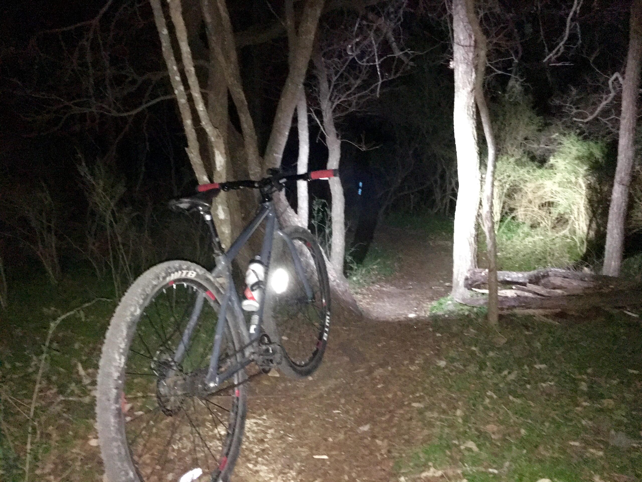 A mountain bike parked on a narrow trail surrounded by trees at night, illuminated by a light source, with a faint path leading further into the woods. McAllister Park mountain bike trail.