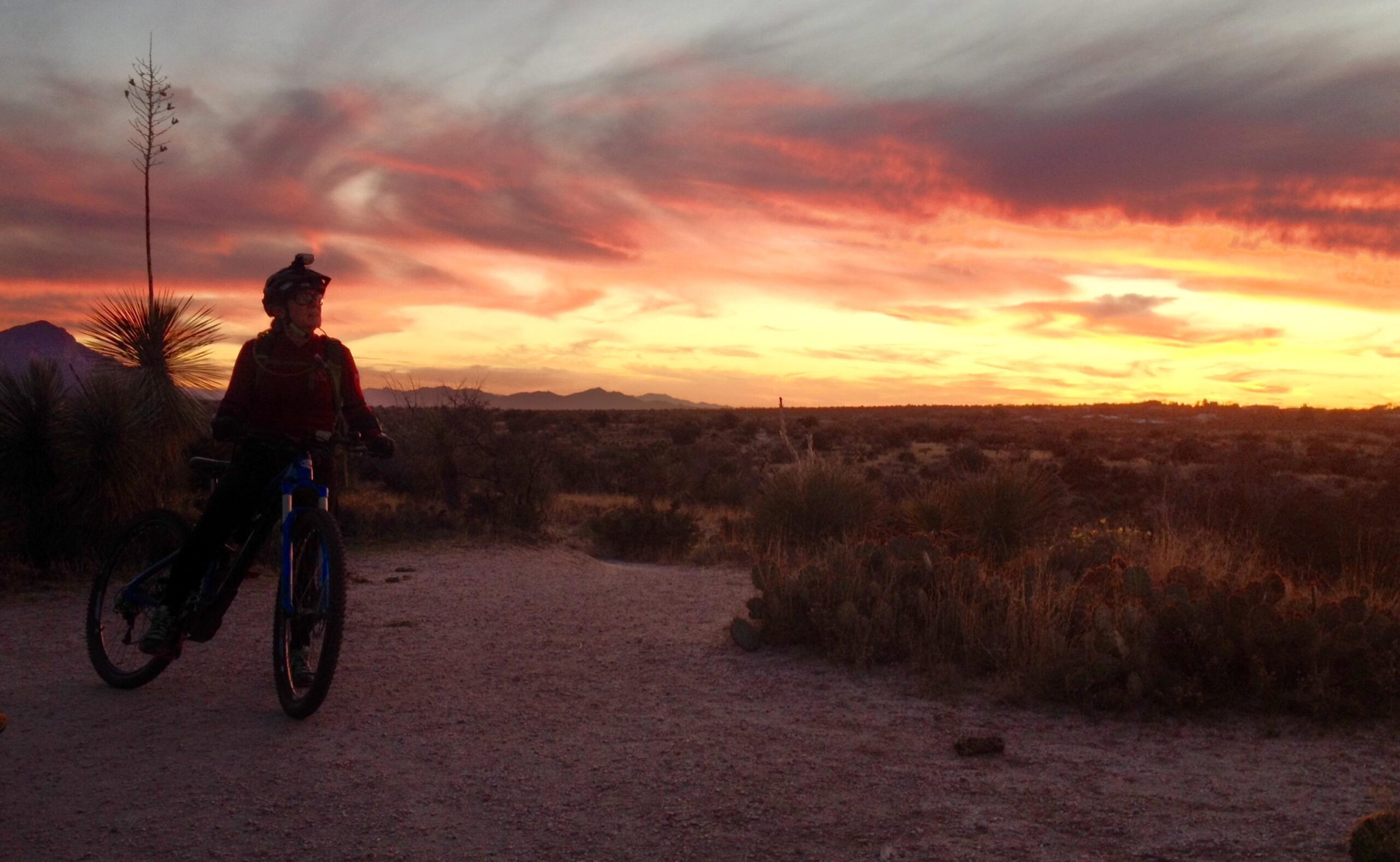 A person riding a mountain bike on a dirt path in a desert landscape during sunset, with colorful clouds in the sky and mountain silhouettes in the background. The scene is tranquil, featuring desert plants such as yucca and cacti. 50-year Trail / Golder Ranch mountain bike trail.