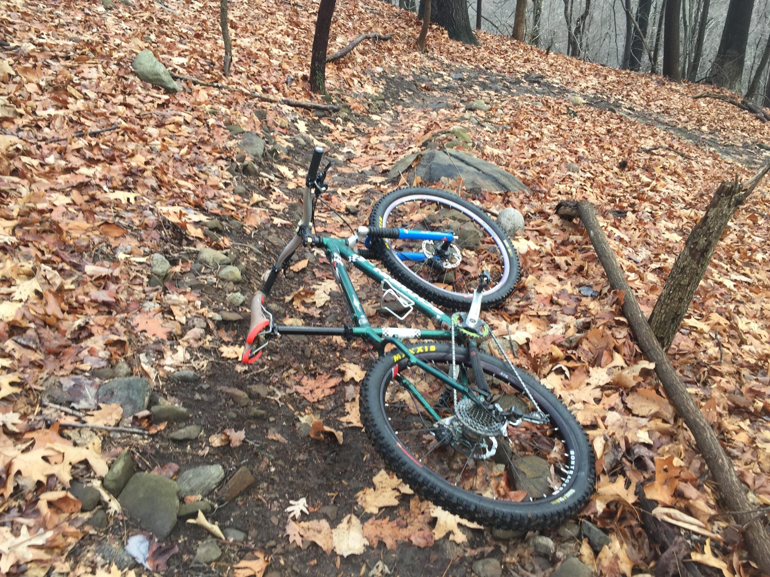 Schwinn Homegrown: A fallen mountain bike resting on a path covered in autumn leaves and stones, surrounded by trees in a wooded area.