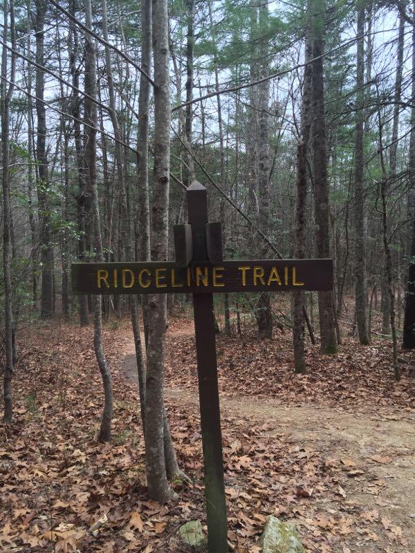 Wooden signpost indicating the "Ridgeline Trail" amid a wooded area with tall trees and scattered brown leaves on the ground. The trail diverges into a path leading into the forest. Ridgeline Trail #65 mountain bike trail.