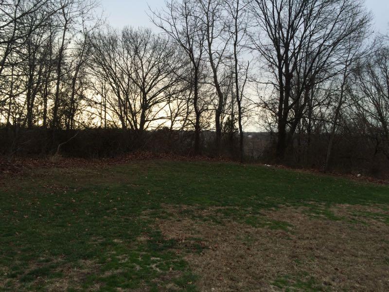 A serene outdoor scene featuring a grassy area bordered by bare trees against a twilight sky. The landscape shows a transition from vibrant grass to patches of bare earth, with hints of fading light in the background. Richmond Avenue and Forest Hill road mountain bike trail.