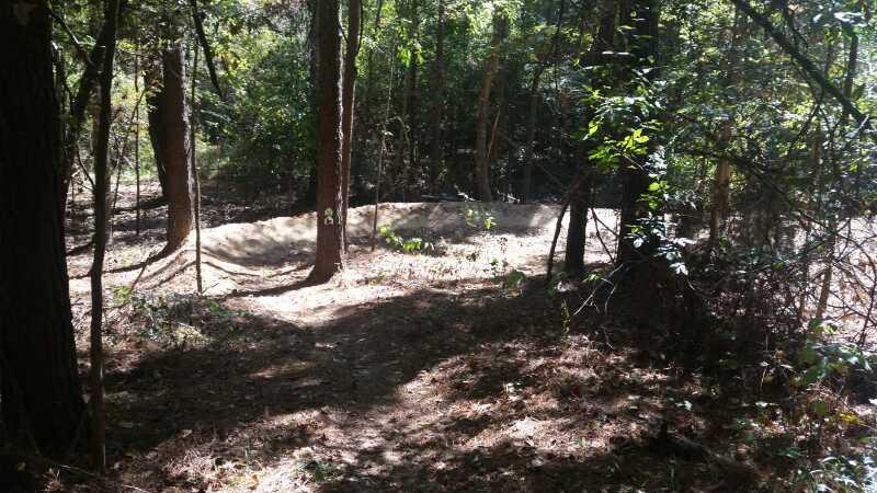 A sunlit pathway through a dense forest, with trees and underbrush on either side. In the background, a small dirt ramp can be seen, partially obscured by surrounding foliage. Mt. Zion Bike Trails mountain bike trail.