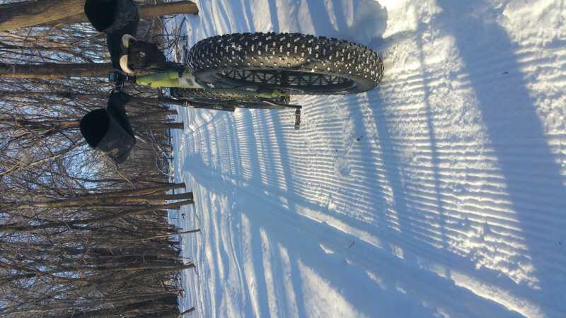 A close-up view of a fat tire bike resting in snow, with a background of bare trees. The bike's wide tire features a knobby tread, and shadow patterns from the trees can be seen on the snow-covered ground. Kiwanis - Mankato mountain bike trail.