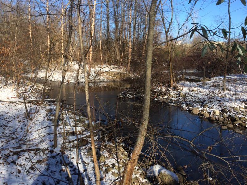 A serene winter landscape featuring a winding stream surrounded by bare trees and patches of snow. Sunlight filters through the branches, illuminating the water as it flows gently. The edges of the stream are lined with rocks, and the scene captures the tranquility of a snowy forest setting. Wolfes Pond park mountain bike trail.