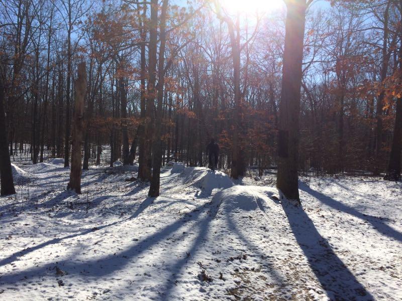 A snowy forest scene featuring tall trees with sparse leaves, casting long shadows on the ground. The sunlight shines brightly through the treetops, illuminating the white snow covering the forest floor. A figure can be seen in the distance, walking along a snowy path. Wolfes Pond park mountain bike trail.