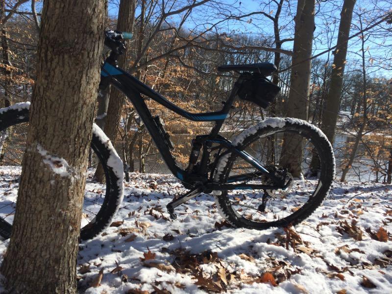 A mountain bike leaning against a tree, partially covered with snow, amidst a winter landscape featuring bare trees and fallen leaves. The blue and black bike is positioned on a snowy trail, with sunlight illuminating the scene. Wolfes Pond park mountain bike trail.