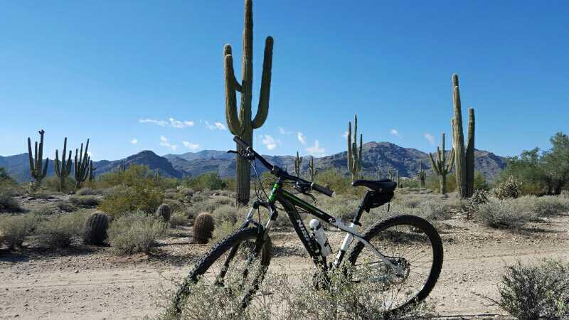 A mountain bike parked on a dirt path in a desert landscape, surrounded by tall cactus plants and rocky mountains in the background under a clear blue sky. White Tanks Competitive Track mountain bike trail.