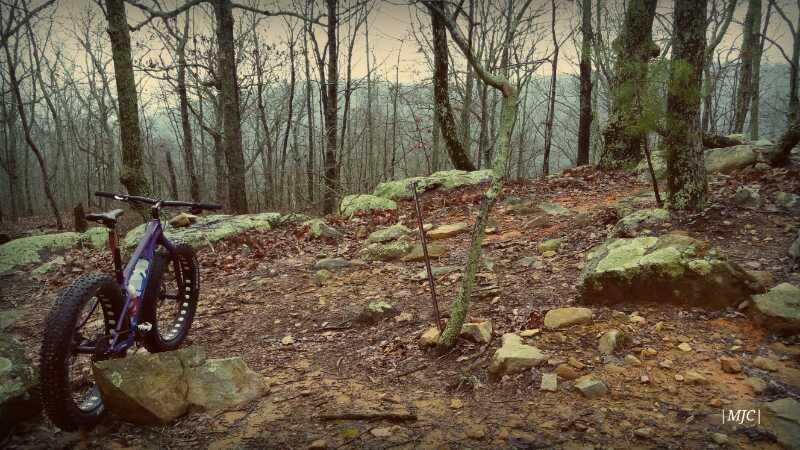 A fat-tire bicycle resting on a large rock in a wooded area, surrounded by bare trees and rocky terrain. The ground is covered with leaves and scattered stones, with a slightly overcast sky visible in the background. Coldwater Mountain mountain bike trail.