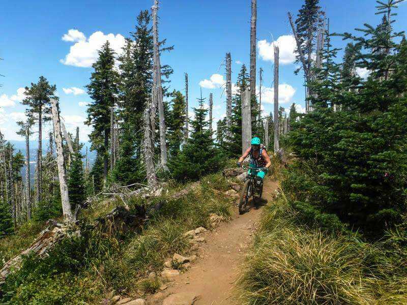 A mountain biker navigating a rocky trail through a forest, surrounded by tall trees and blue skies, with patches of grass along the path. Mt. Spokane mountain bike trail.