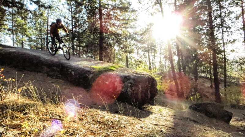 A mountain biker riding down a rocky trail in a sunlit forest, surrounded by tall trees and natural foliage. The sunlight filters through the trees, creating lens flare effects in the image. Beacon Hill mountain bike trail.