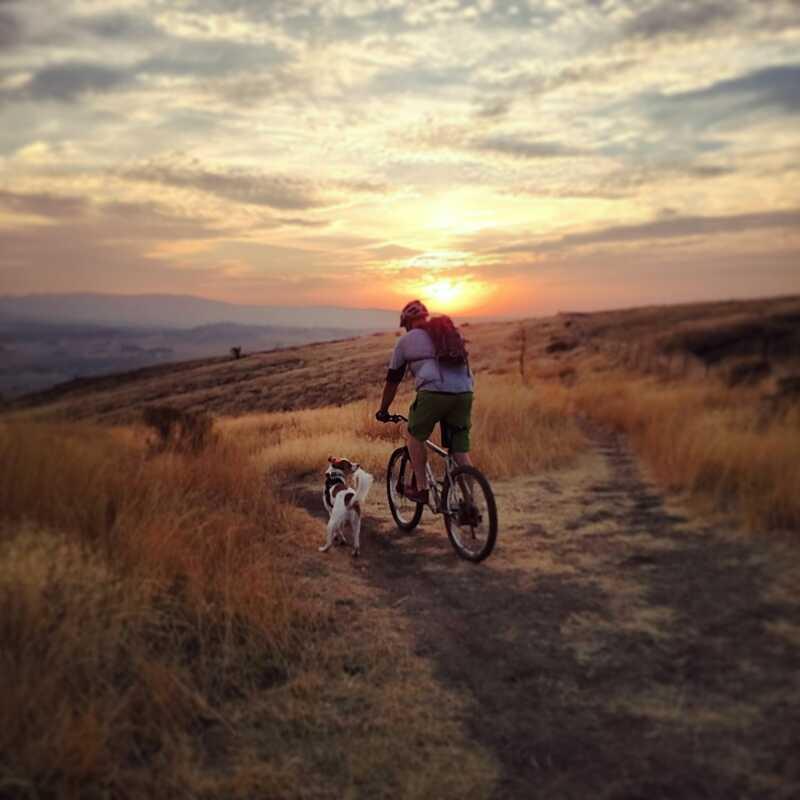 A person riding a mountain bike along a dirt trail in a grassy landscape, accompanied by a small dog, with a vibrant sunset in the background. The sky is filled with soft clouds, and the scene conveys a sense of adventure and companionship. Saltese Conservation Area mountain bike trail.