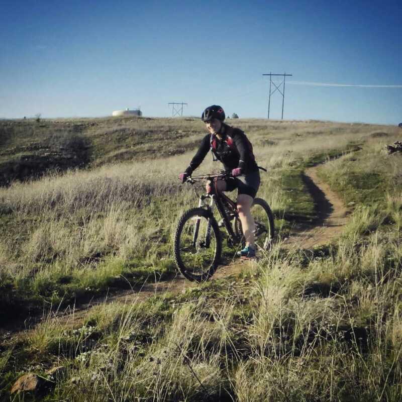 A person riding a mountain bike along a narrow dirt trail surrounded by tall grass and hills under a clear blue sky. Saltese Conservation Area mountain bike trail.