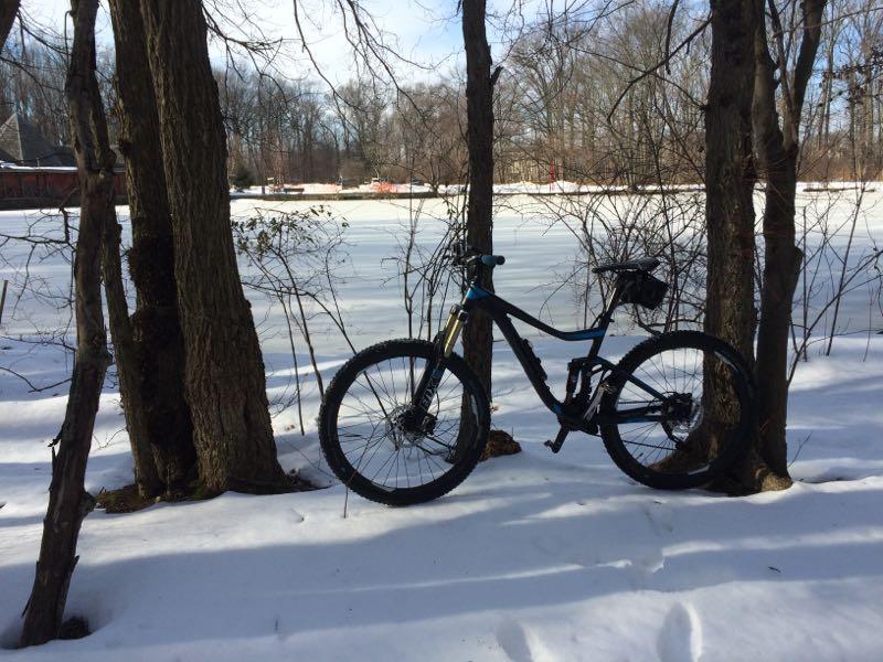 A mountain bike leaning against two trees in a snowy landscape, with a frozen lake visible in the background and bare trees surrounding the area. Richmond Avenue and Forest Hill road mountain bike trail.