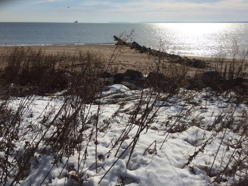 Snow-covered ground with sparse vegetation in the foreground, leading to a sandy beach and calm water in the background. The water reflects sunlight, creating a shimmering effect. A distant ship is visible on the horizon, with a muted sky overhead. Wolfes Pond park mountain bike trail.