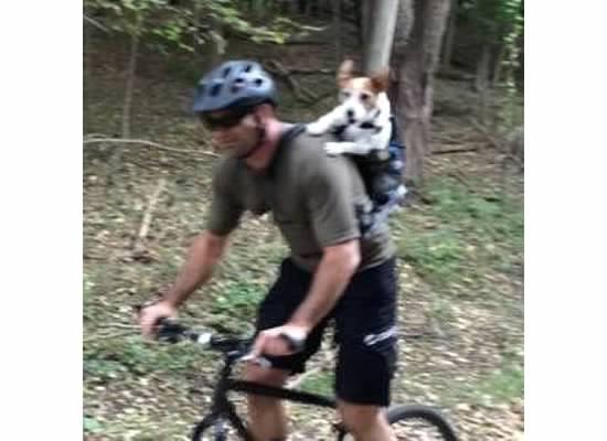 A person wearing a helmet rides a bicycle on a wooded path, with a small dog secured in a backpack on their back, both appearing happy and engaged in the outdoor activity. Anderson Park mountain bike trail.