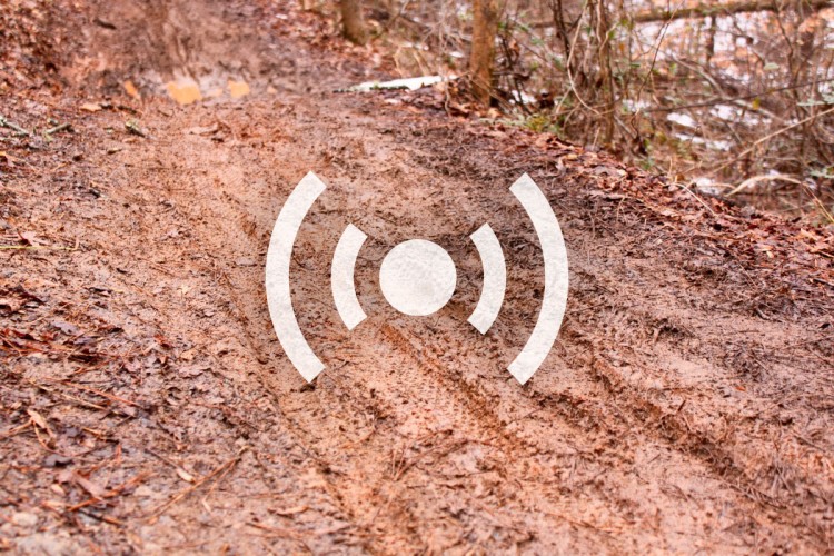 A muddy trail in a wooded area, featuring tire tracks and scattered leaves, with a semi-transparent symbol in the center that resembles sound waves.