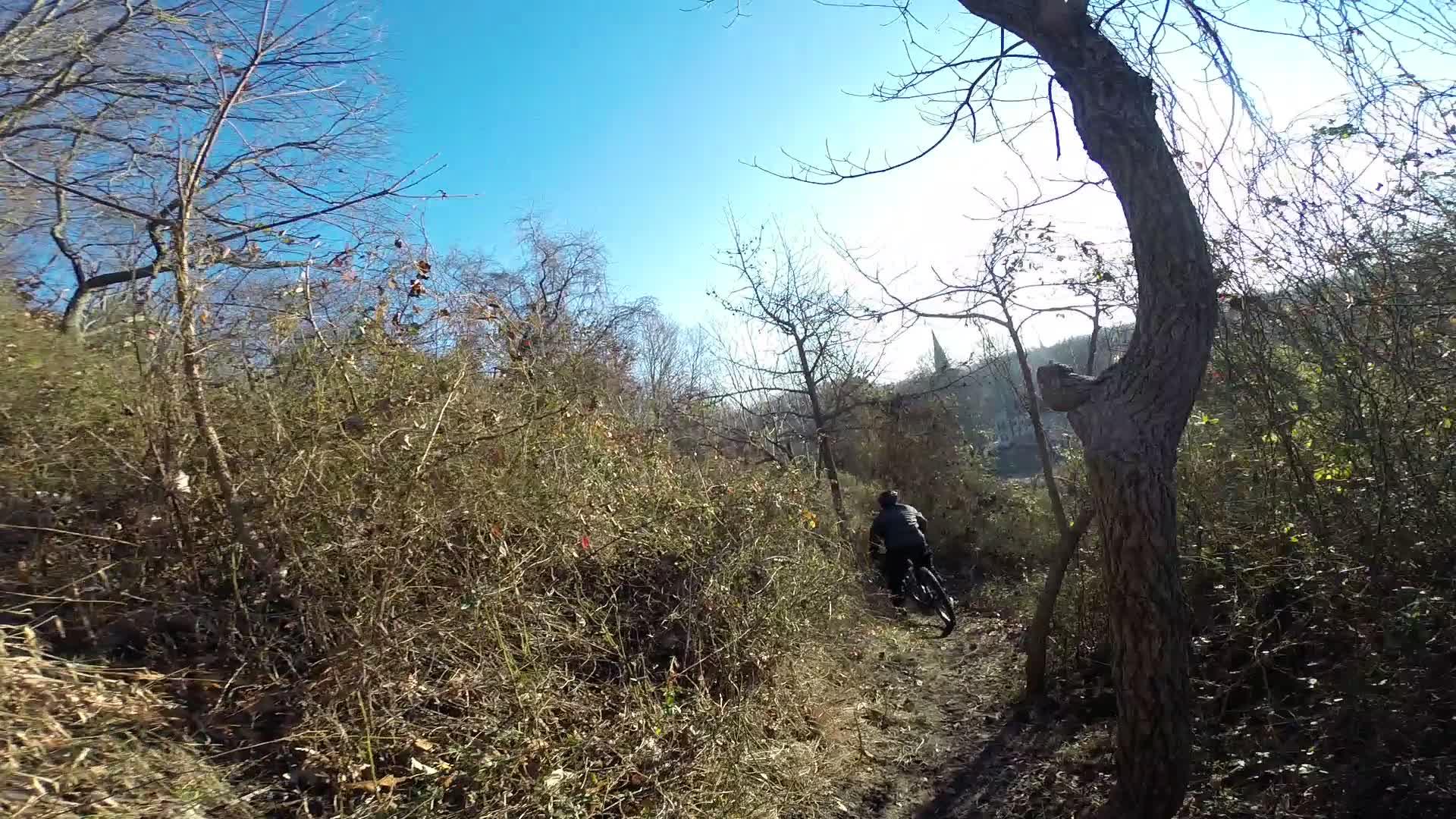 A mountain biker navigates a narrow trail surrounded by dense shrubs and trees under a clear blue sky. The scene captures the essence of outdoor adventure and the beauty of nature. Richmond Avenue and Forest Hill road mountain bike trail.
