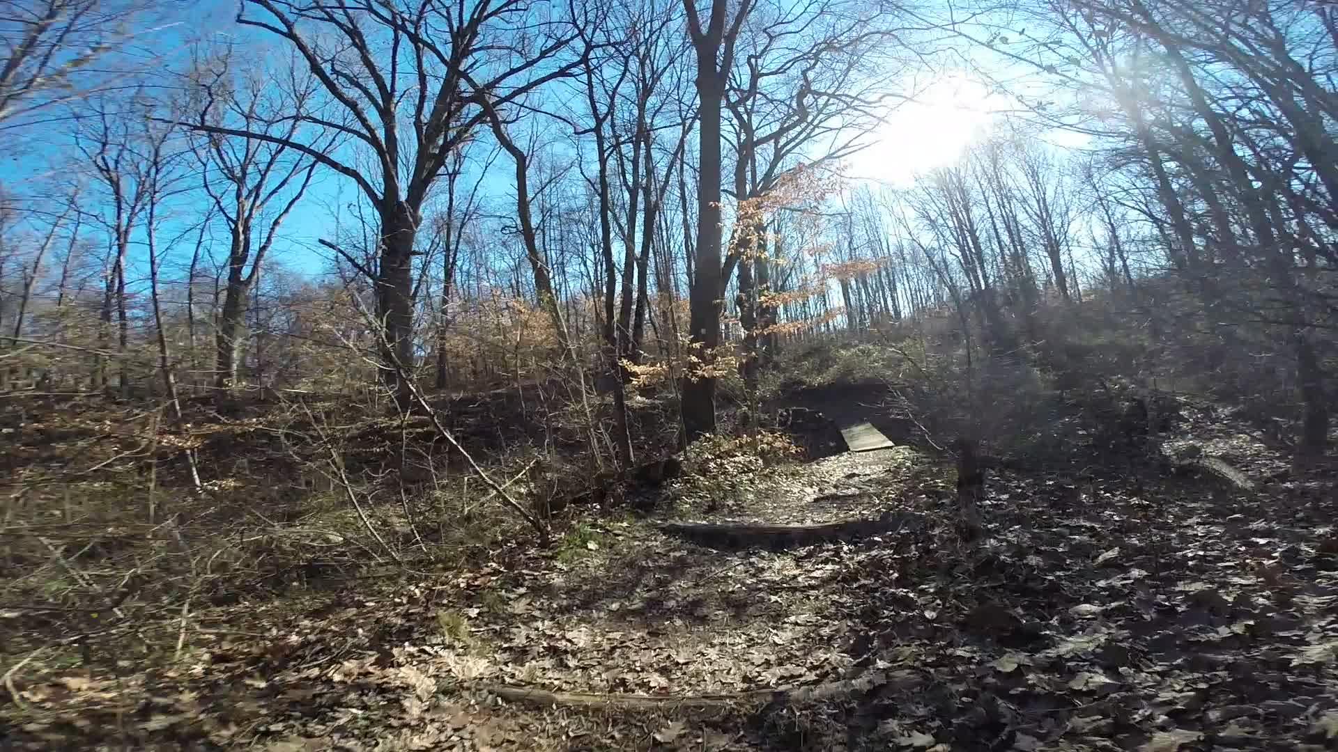 A sunlit forest trail surrounded by bare trees and scattered brown leaves, leading to a small wooden bridge. The clear blue sky can be seen above, creating a peaceful outdoor scene. Richmond Avenue and Forest Hill road mountain bike trail.