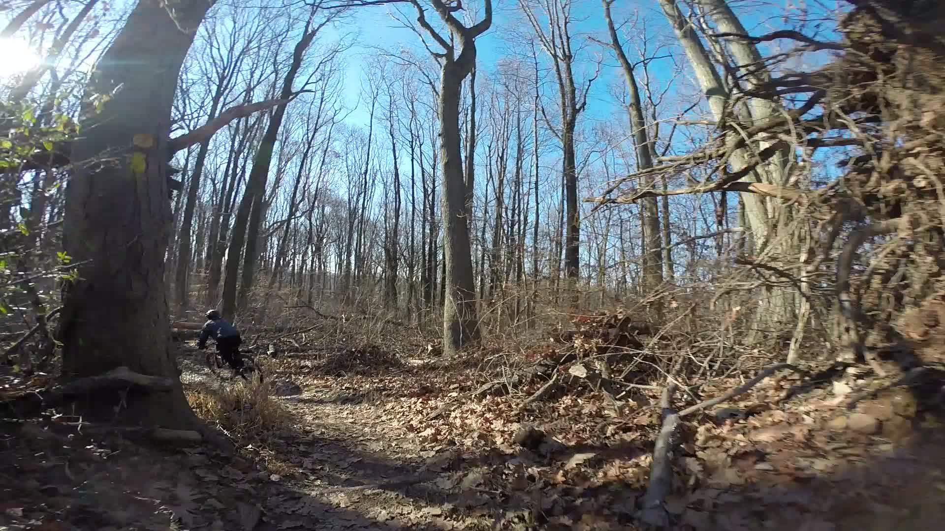 A person riding a mountain bike along a winding trail in a bare forest, surrounded by tall trees and fallen leaves, under a clear blue sky. Richmond Avenue and Forest Hill road mountain bike trail.