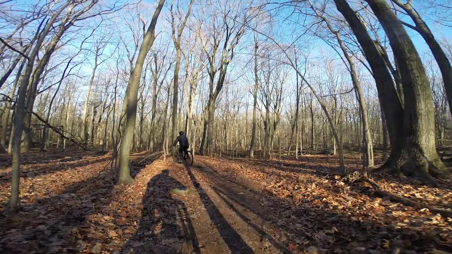 A person riding a mountain bike along a dirt trail in a forest during winter, surrounded by bare trees and fallen leaves, with blue skies in the background. Long shadows from the trees and the rider stretch across the trail. Richmond Avenue and Forest Hill road mountain bike trail.