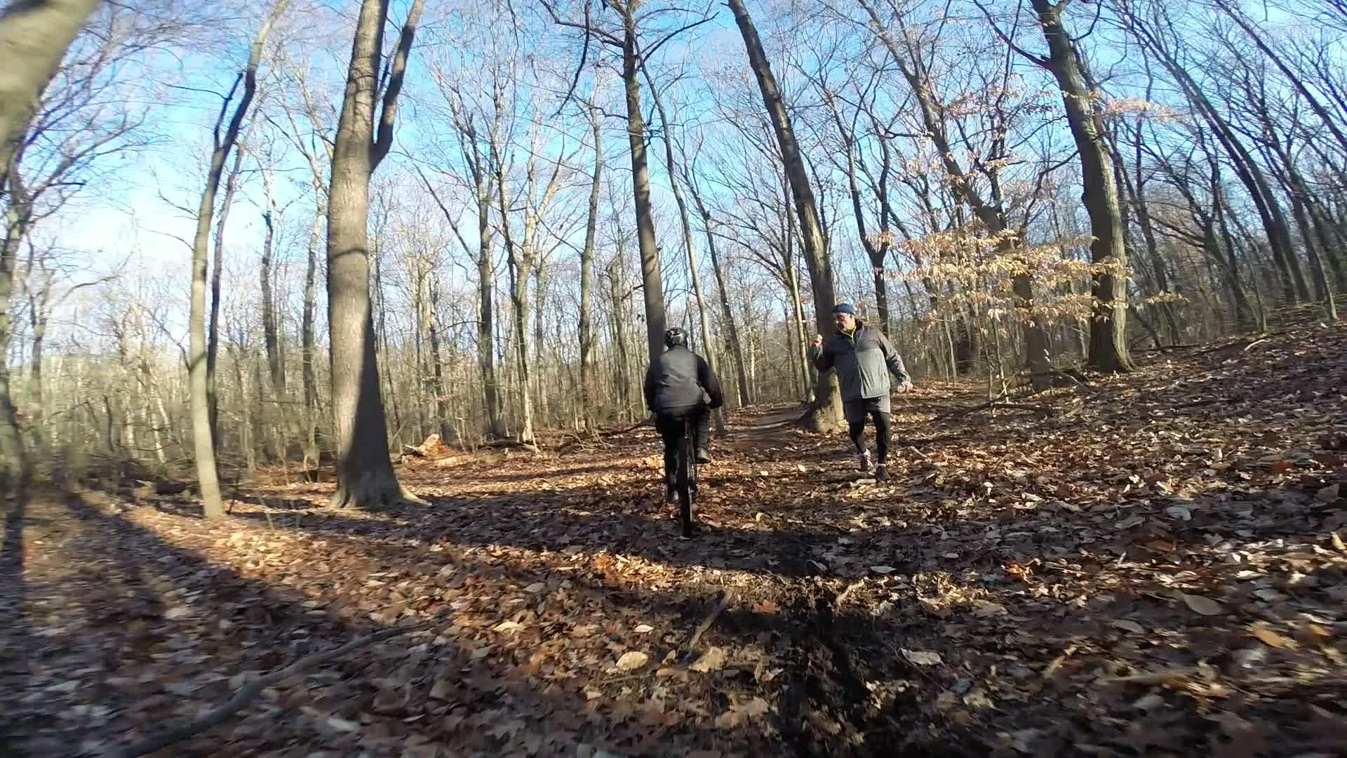 Two people walking along a wooded trail covered in fallen leaves, surrounded by tall, bare trees against a clear blue sky. One person is wearing a black jacket and a helmet, while the other is dressed in a gray coat. Sunlight casts shadows on the ground. Richmond Avenue and Forest Hill road mountain bike trail.