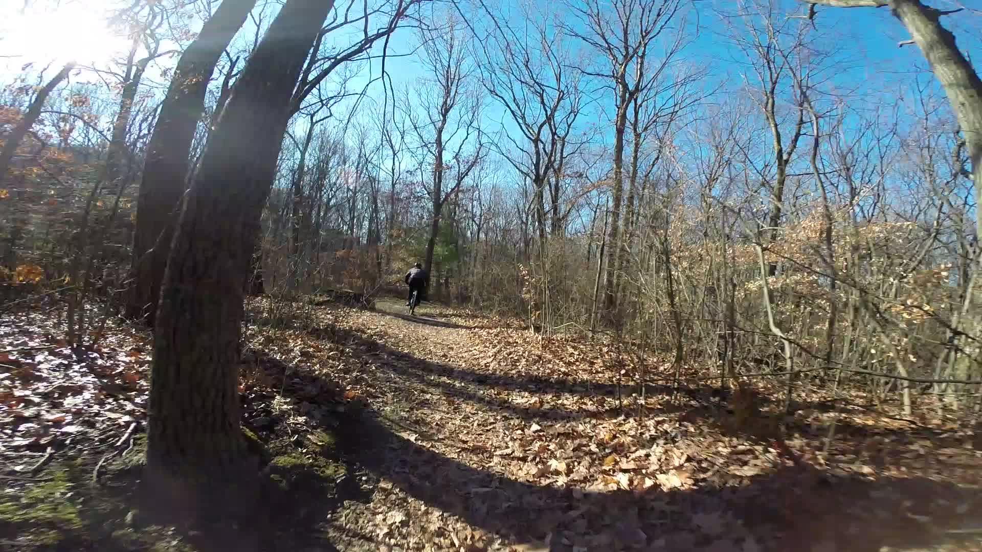 A person riding a bicycle along a wooded trail in autumn, surrounded by bare trees and fallen leaves under a clear blue sky. The sun shines brightly, casting shadows on the path. Richmond Avenue and Forest Hill road mountain bike trail.