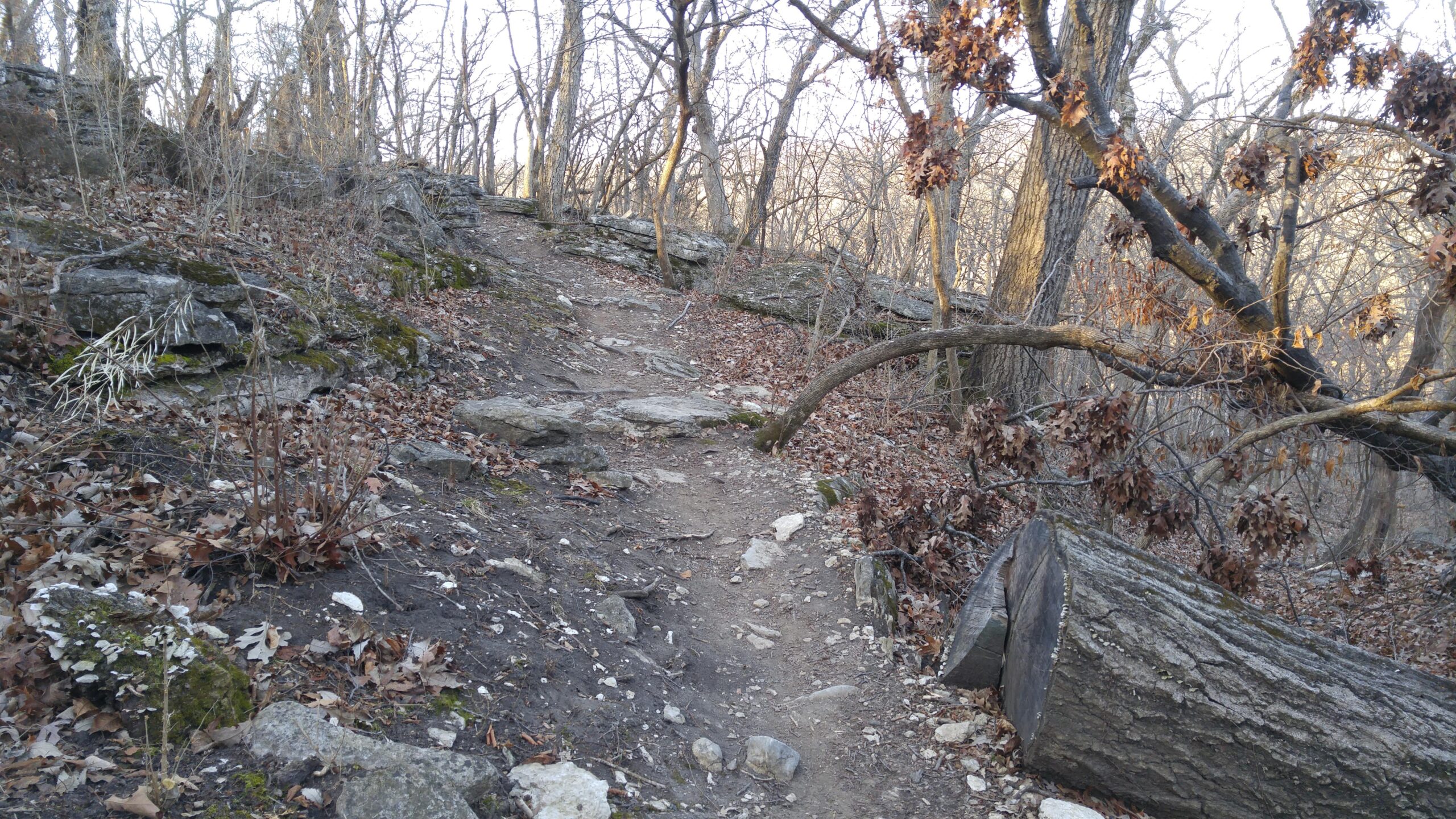 A narrow dirt trail winding through a wooded area, surrounded by rocks and scattered fallen leaves. The path is partially lined with dry branches, and trees with bare branches are visible on either side, indicating a late autumn or early winter setting. Swope Park Trail mountain bike trail.