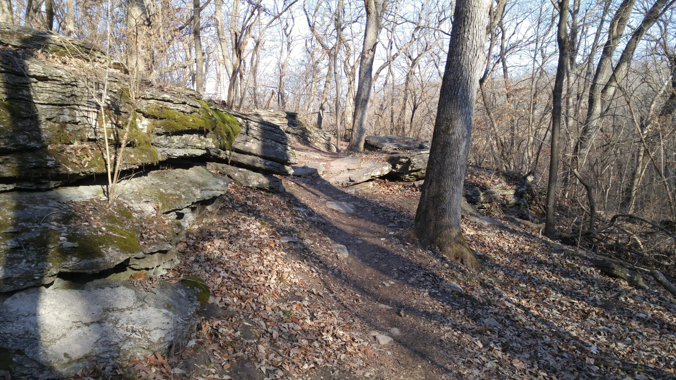 A rocky hiking trail winding through a wooded area, surrounded by bare trees and fallen leaves, with patches of moss on the rocks. Sunlight filters through the branches, casting shadows on the path. Swope Park Trail mountain bike trail.
