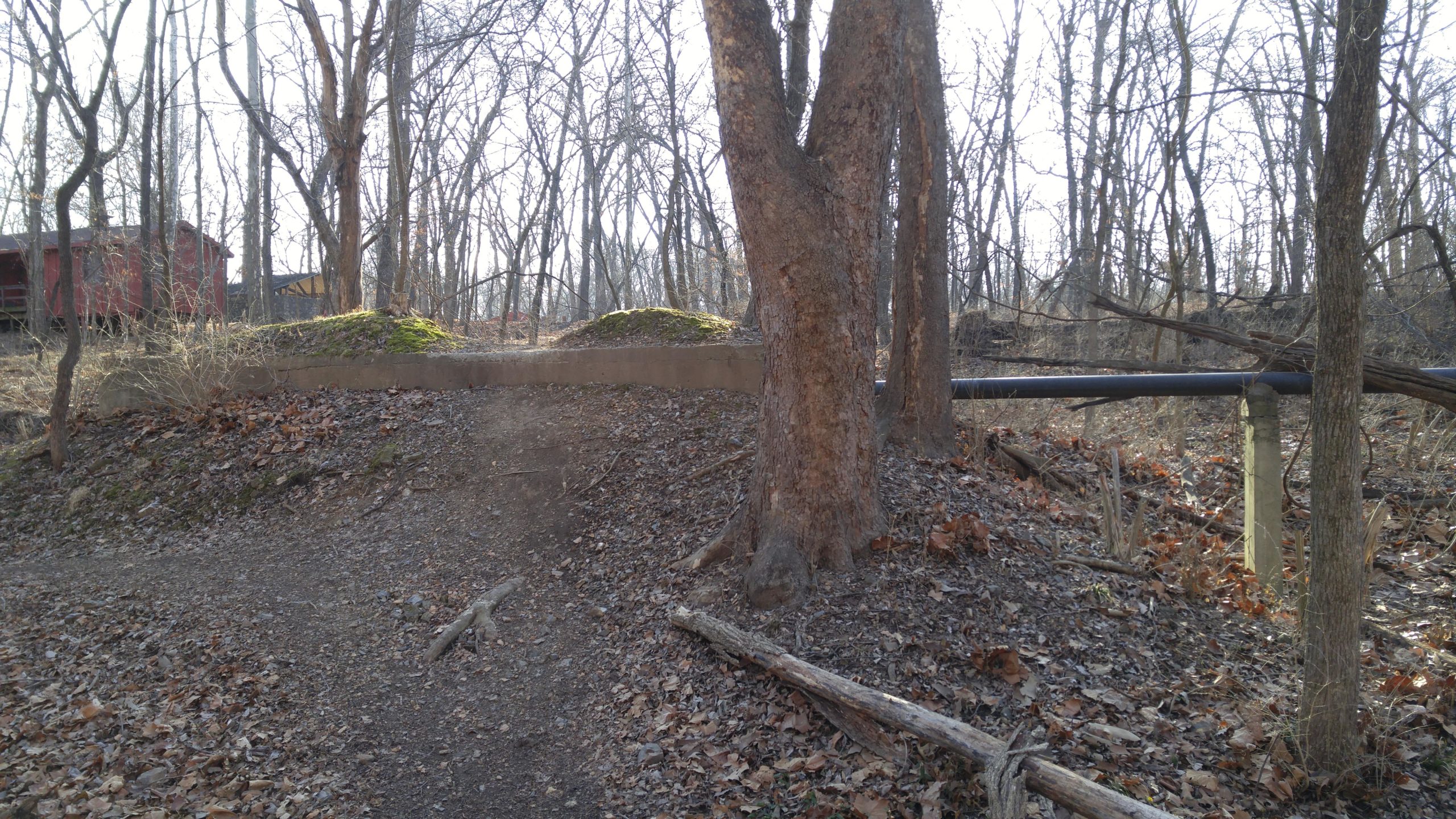 A trail winding through a wooded area with bare trees and scattered leaves. In the foreground, a dirt path leads up to a raised concrete area covered with moss. A black pipe runs along the edge, and a red structure is partially visible in the background among the trees. Swope Park Trail mountain bike trail.