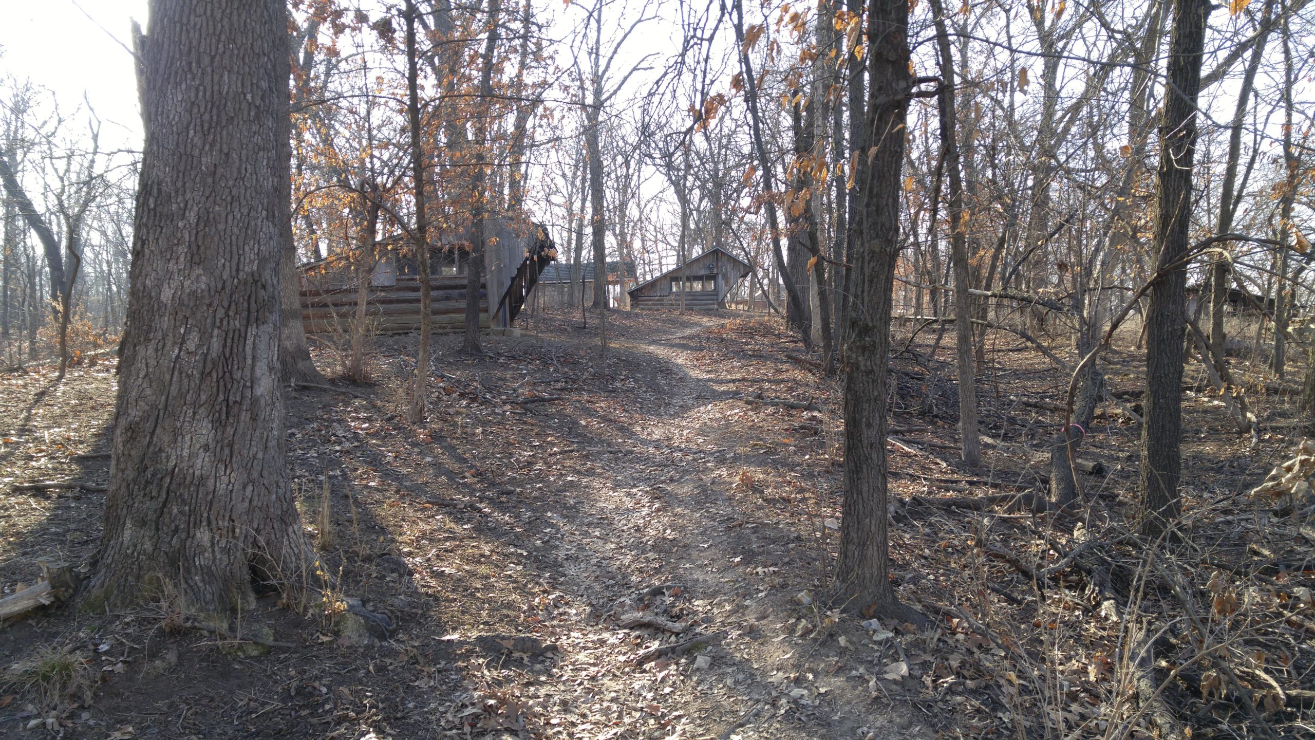 A dirt path winding through a wooded area with sparse trees and dry leaves, leading towards two rustic cabins in the background. The scene is illuminated by soft lighting, suggesting a peaceful and quiet atmosphere. Swope Park Trail mountain bike trail.