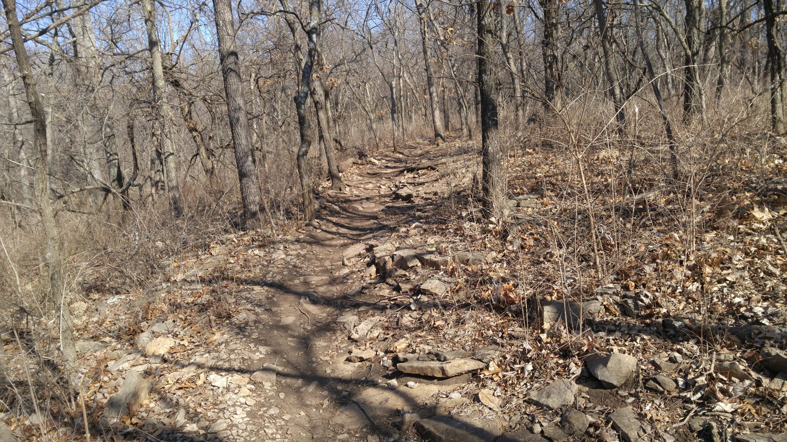 A narrow, rocky hiking trail winds through a sparse forest with bare trees and scattered dry leaves. The ground is uneven with visible stones and dirt, and the scene is set under a clear blue sky. Shawnee Mission Park mountain bike trail.