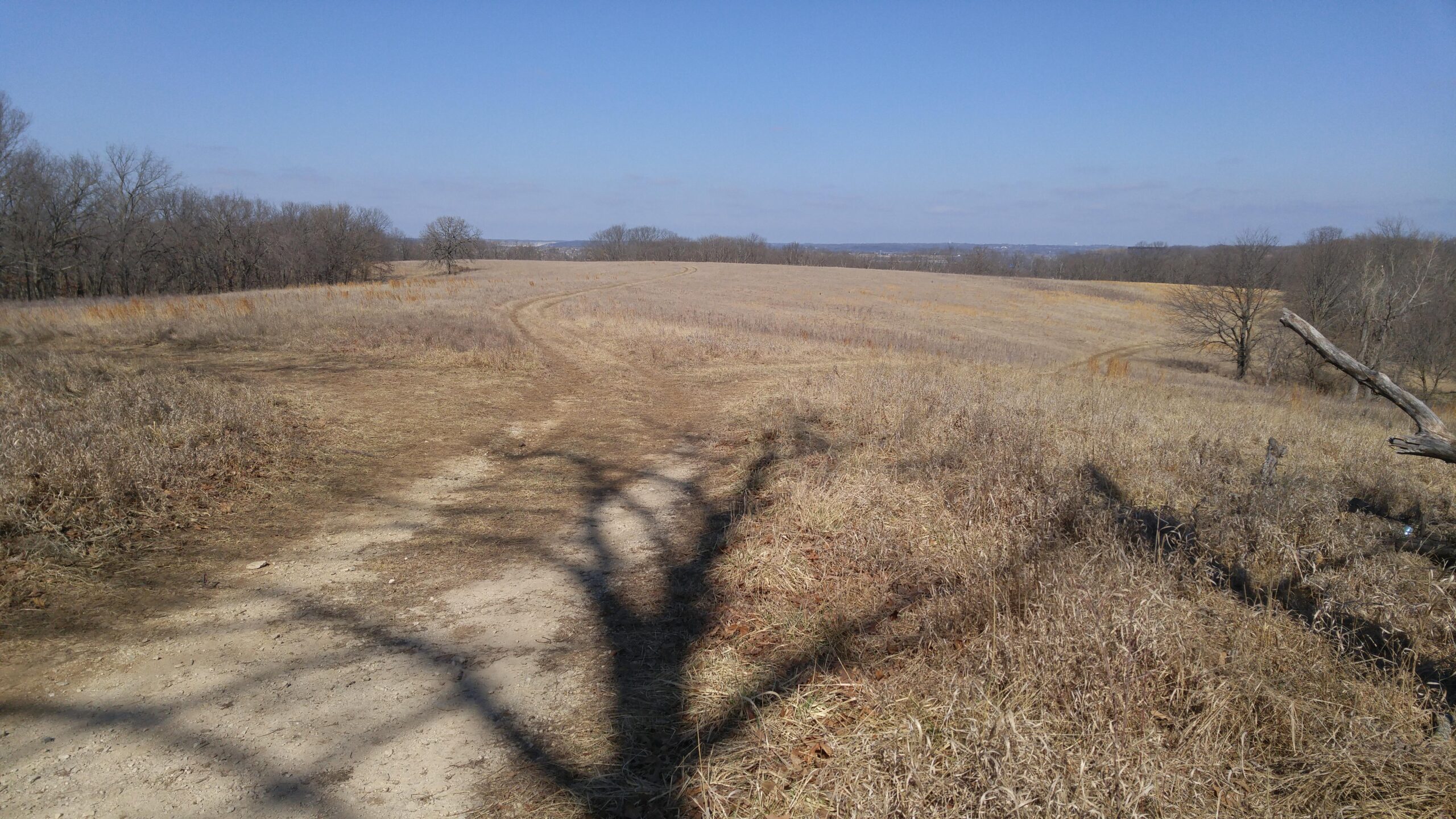 A wide, open landscape featuring a dirt path winding through light brown grass and sparse trees. The sky is clear blue with a few clouds, and the scene conveys a serene, natural setting. Shadows from nearby trees stretch across the ground, adding depth to the composition. Shawnee Mission Park mountain bike trail.