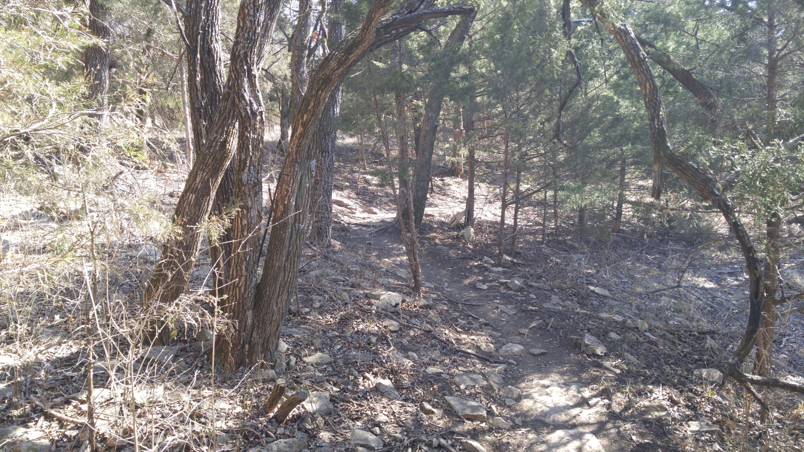  Shawnee Mission Park mountain bike trail.