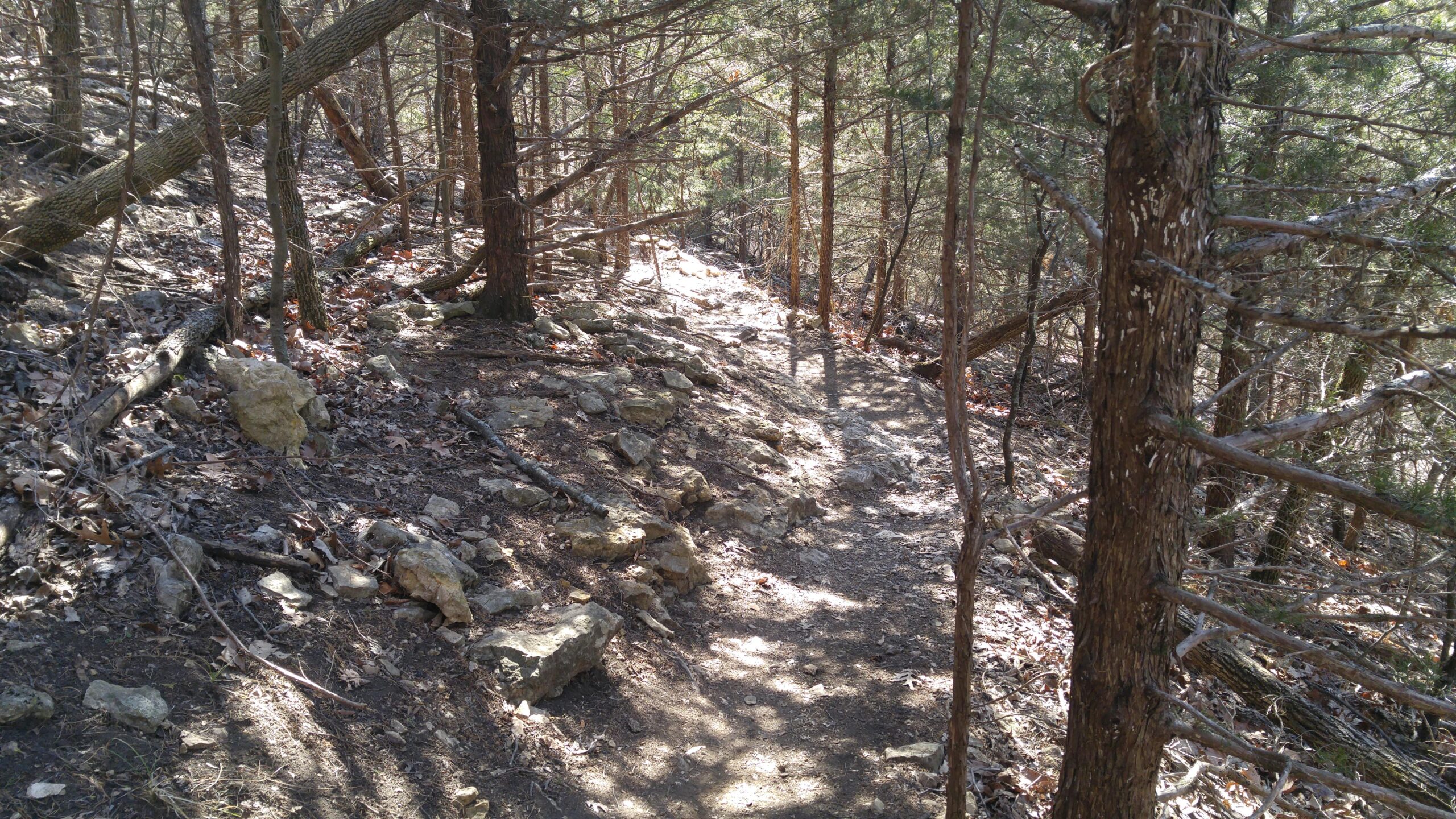 A dirt hiking path winding through a wooded area, flanked by trees and scattered rocks, with sunlight filtering through the branches. Dry leaves cover the ground. Shawnee Mission Park mountain bike trail.