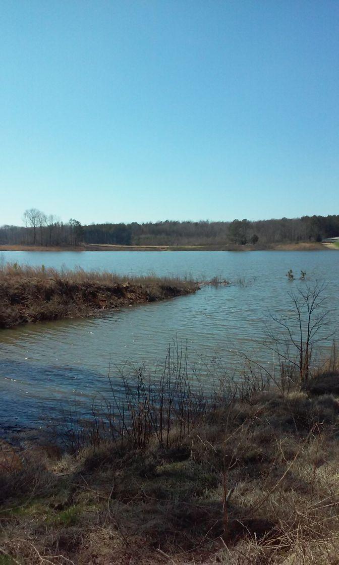 A tranquil view of a lake surrounded by sparse vegetation and trees under a clear blue sky. The water reflects the calm surface, with a small sandy shore and patches of grass along the bank. Duck River mountain bike trail.
