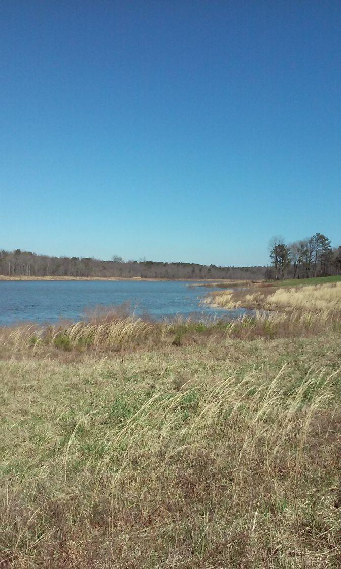 A serene view of a calm body of water surrounded by grassy fields under a clear blue sky, with trees lining the distant shore. Duck River mountain bike trail.