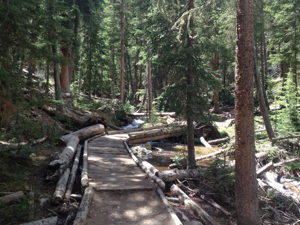 A wooden boardwalk winding through a lush green forest, surrounded by tall pine trees and fallen logs, with a small stream flowing nearby. The sunlight filters through the foliage, creating a serene and inviting atmosphere. Peaks Trail mountain bike trail.