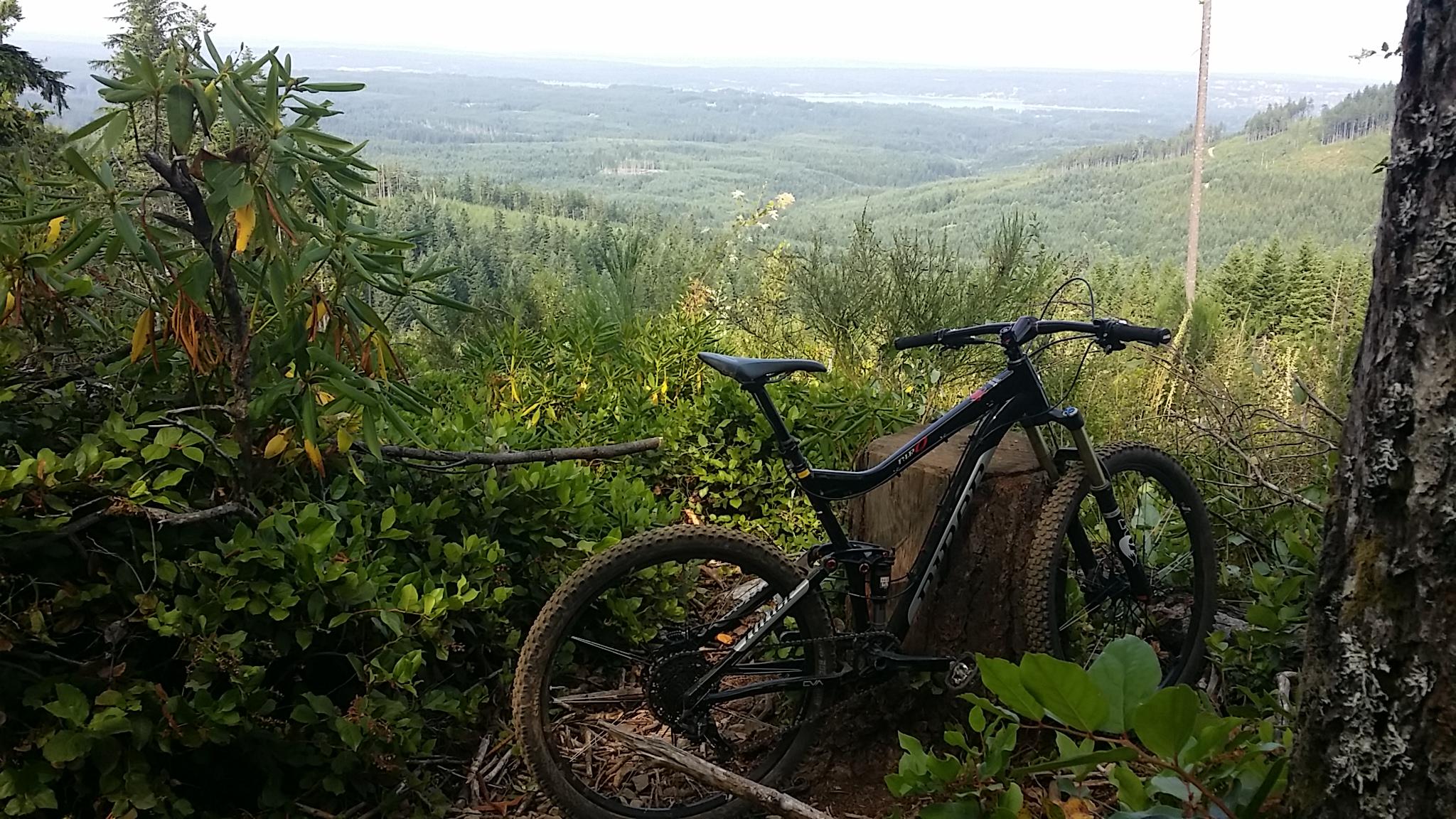 Niner RIP 9: A mountain bike leaning against a log, surrounded by lush greenery and trees, overlooking a scenic valley and distant hills under a cloudy sky.