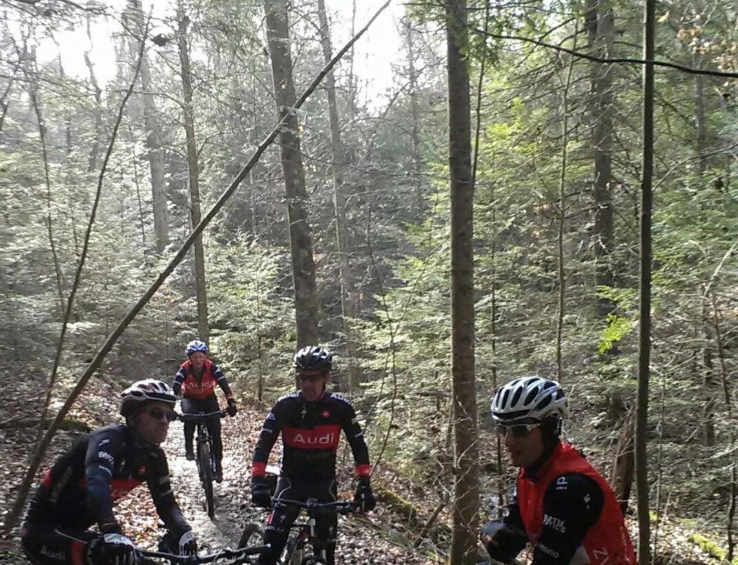 Four mountain bikers dressed in red and black cycling jerseys are navigating a forest trail surrounded by tall trees and green foliage. The scene captures a moment of camaraderie as they ride through the wooded area, with the sunlight filtering through the branches.