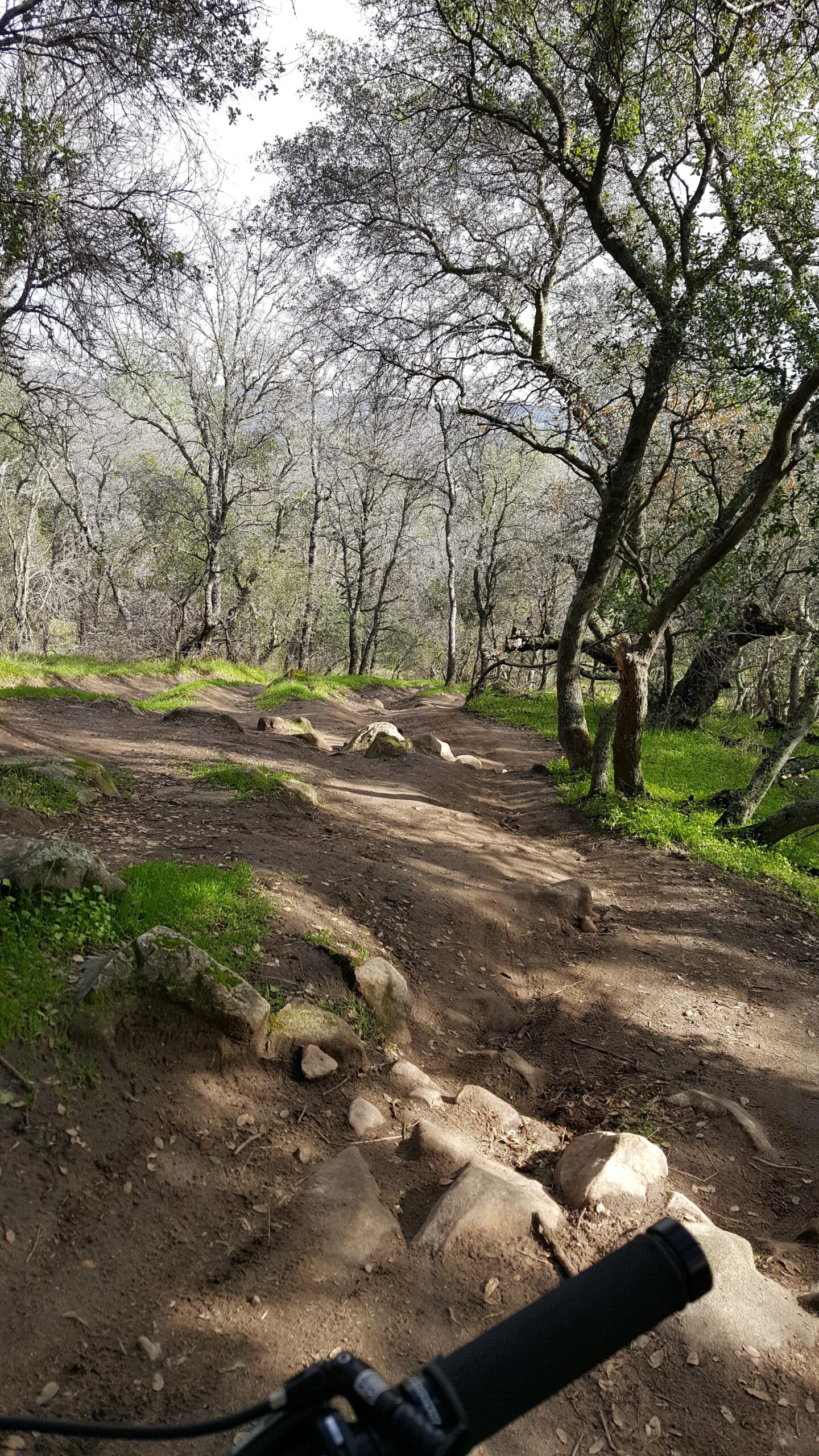 A dirt trail winding through a forest, surrounded by trees with sparse leaves and patches of green grass. The path is rocky and uneven, indicating a rugged hiking or biking route. A portion of a bicycle handlebar is visible in the foreground. Granite Bay Trail mountain bike trail.