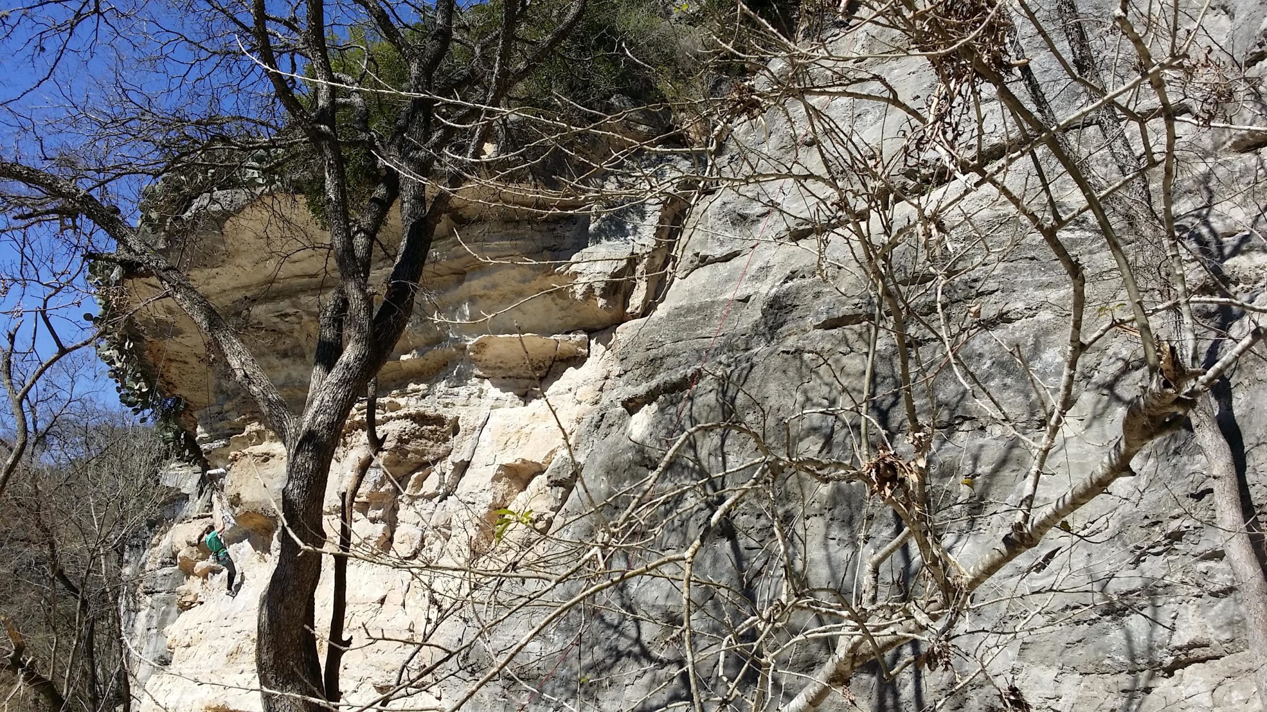 A rock formation with a steep cliffside partly covered by bare trees and shrubs against a clear blue sky. A climber in green can be seen ascending the rocky surface. Barton Creek Greenbelt mountain bike trail.