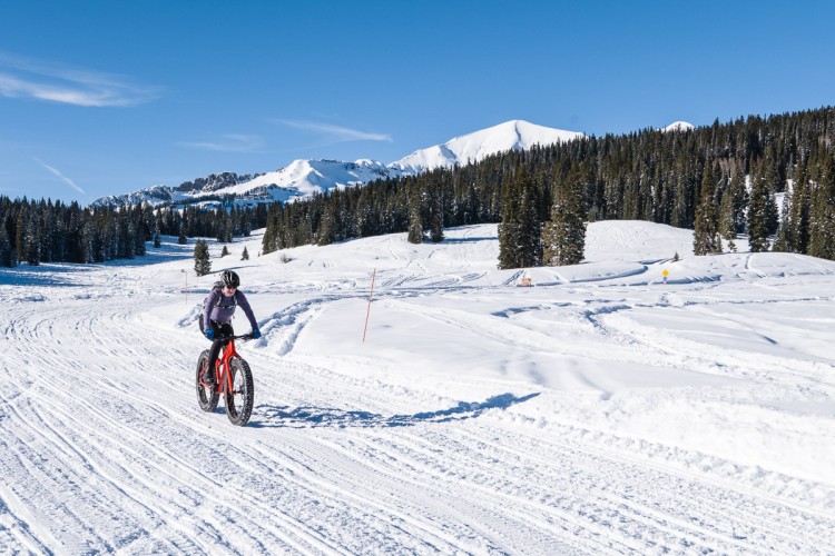 A person riding a fat bike on a snowy trail surrounded by evergreen trees and mountains under a clear blue sky. The landscape features untouched snow and tire tracks, conveying a sense of winter adventure and outdoor activity.